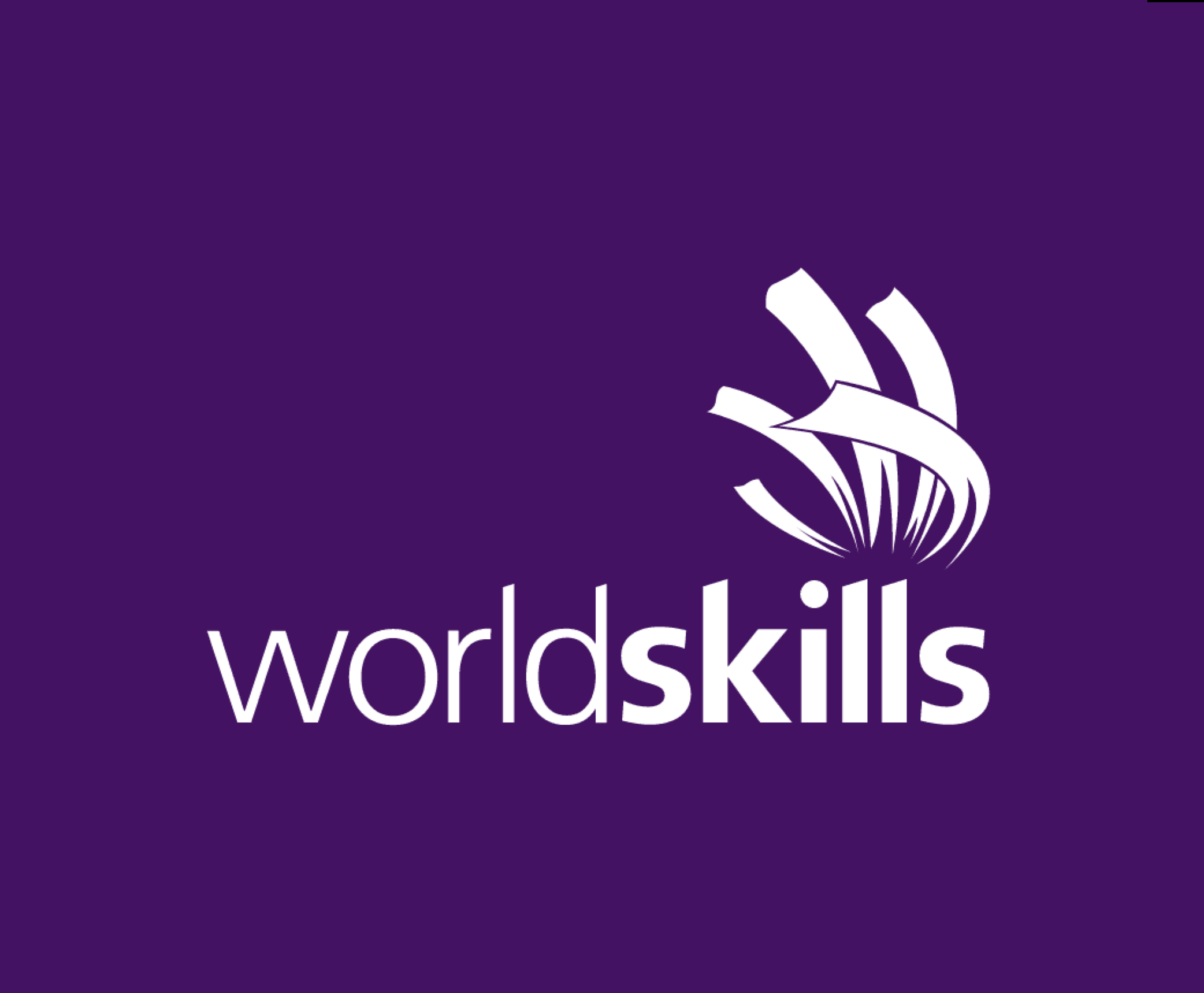 WorldSkills